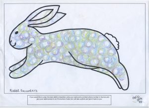 Rabbit 542