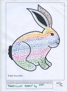 Rabbit 544