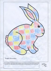 Rabbit 546
